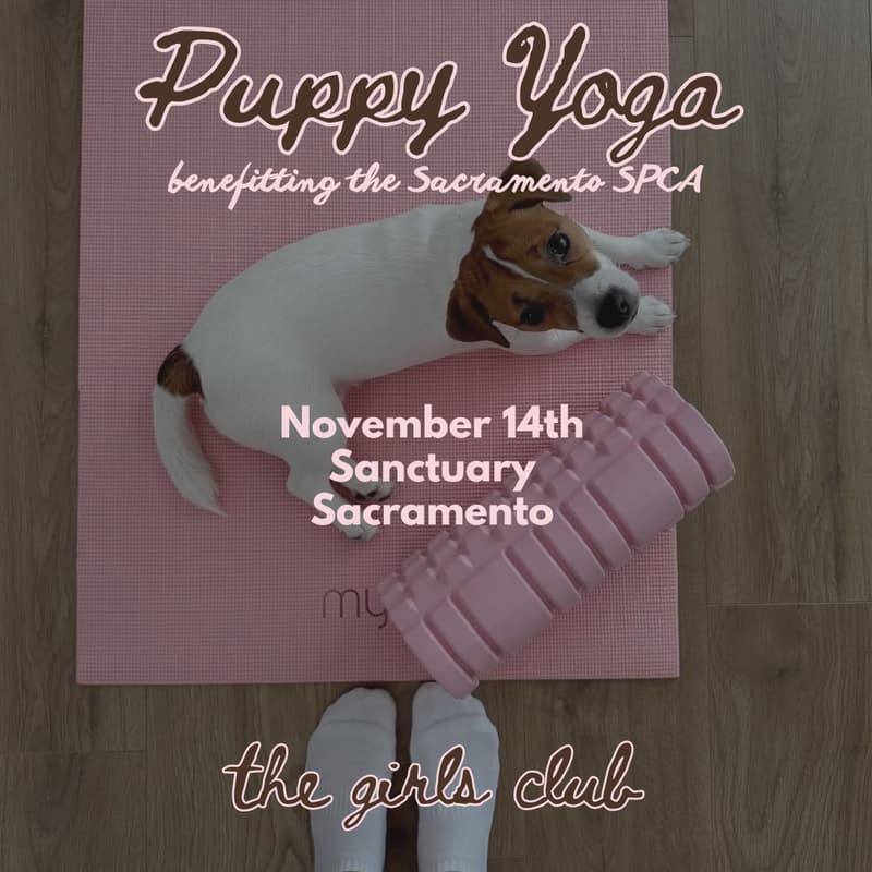 Cover Image for Puppy Yoga