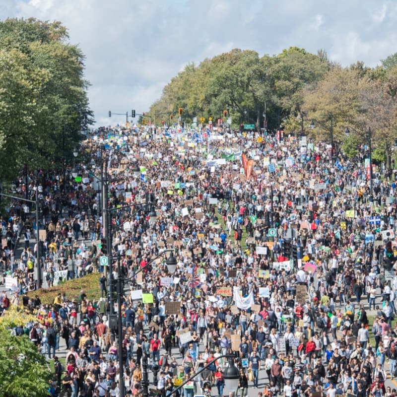 Cover Image for Le mouvement climatique au Canada : où s'en va-t-on? || The Climate Movement in Canada: Where To Now?