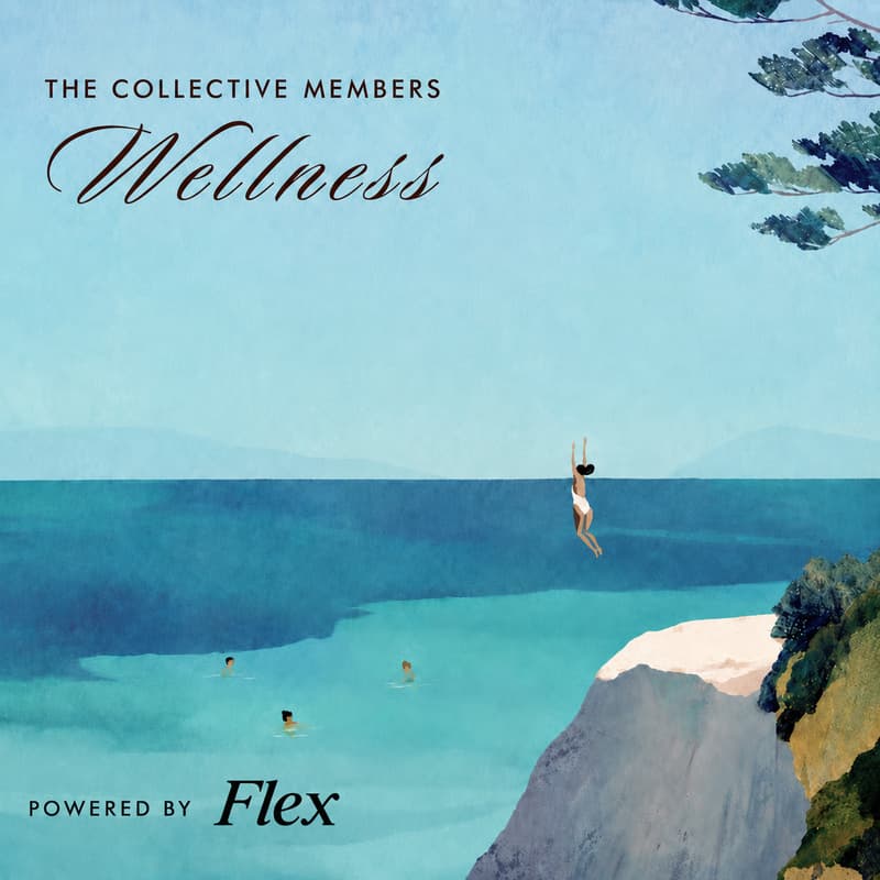 Cover Image for Members [wellness]