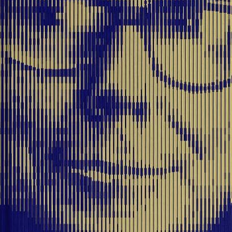 Cover Image for Peter D. Kaufman Talk