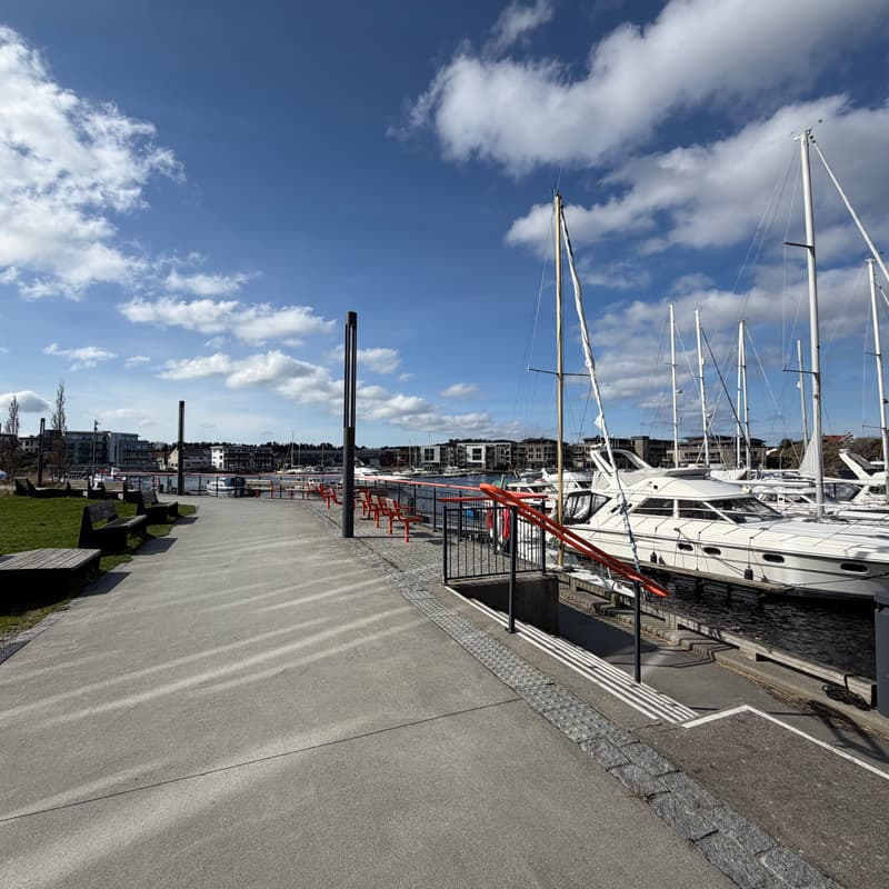 Cover Image for TheFoundry Morning Training, Sauna & Sea