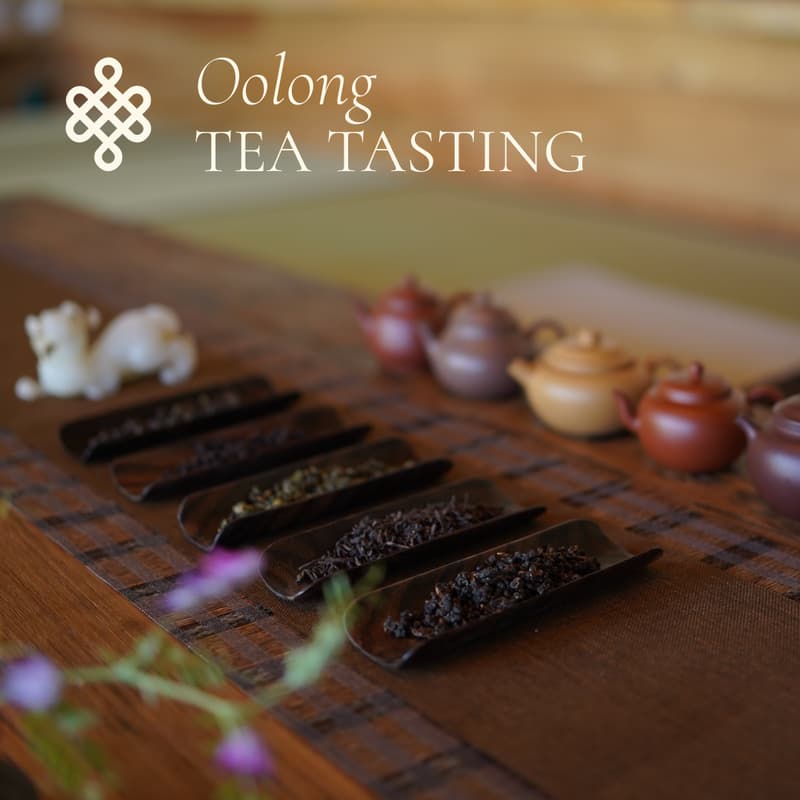 Cover Image for Oolong Tea Tasting