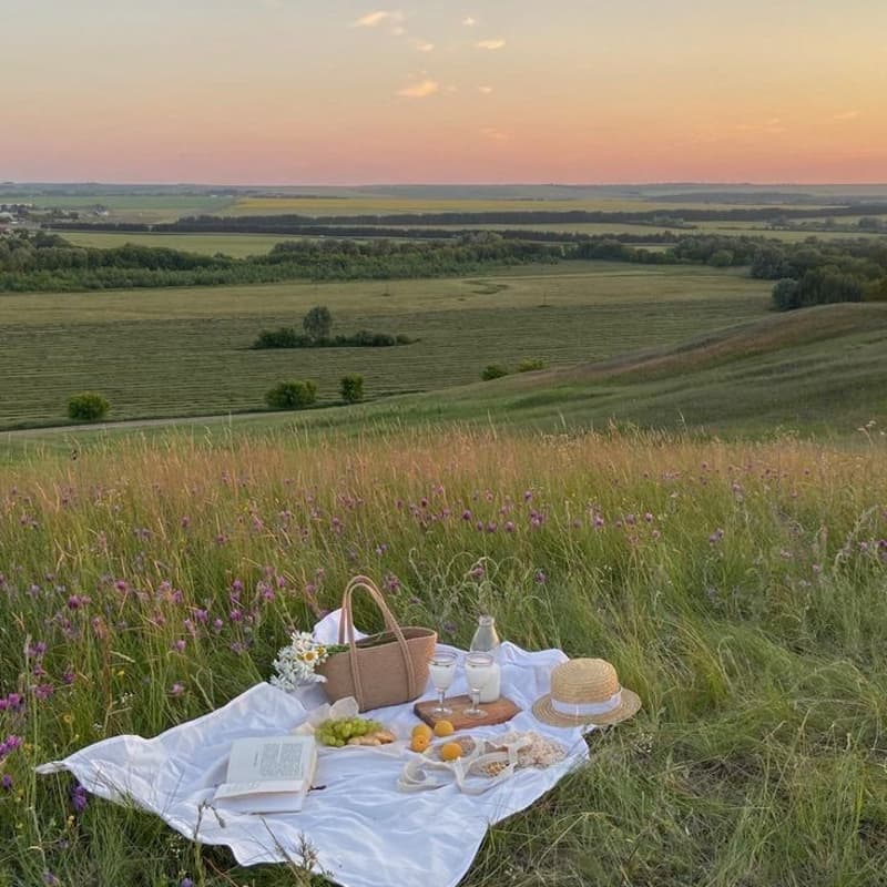 Cover Image for Picnic with Purpose
