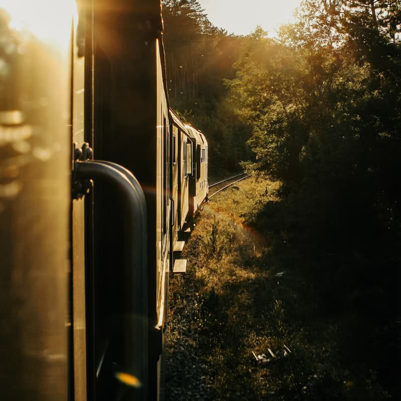 Cover Image for Sinaia Chess Express