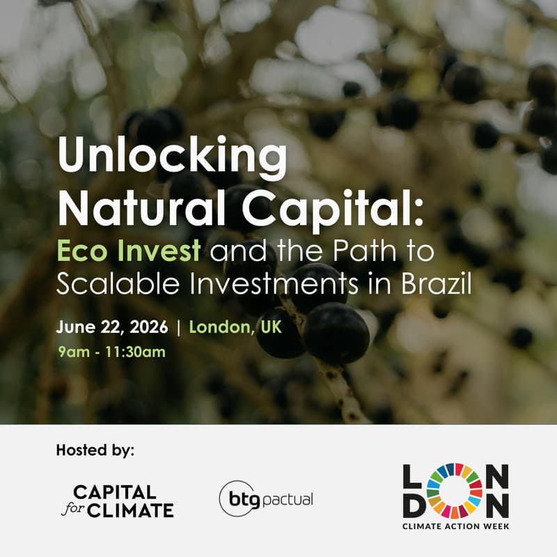 Cover Image for Unlocking Natural Capital: Eco Invest and the Path to Scalable Investments in Brazil