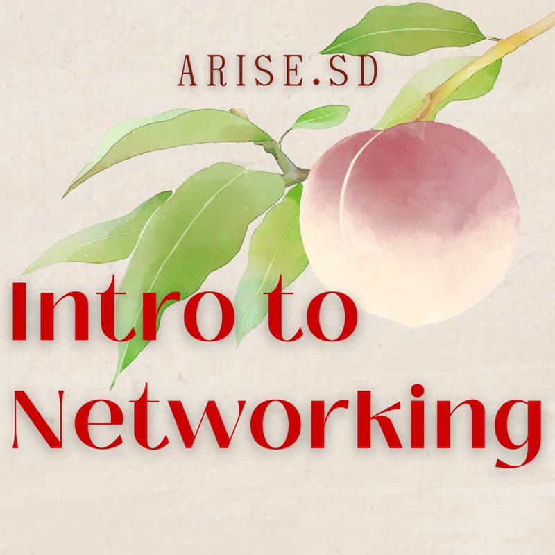 Cover Image for ARISE.SD - Intro to Networking