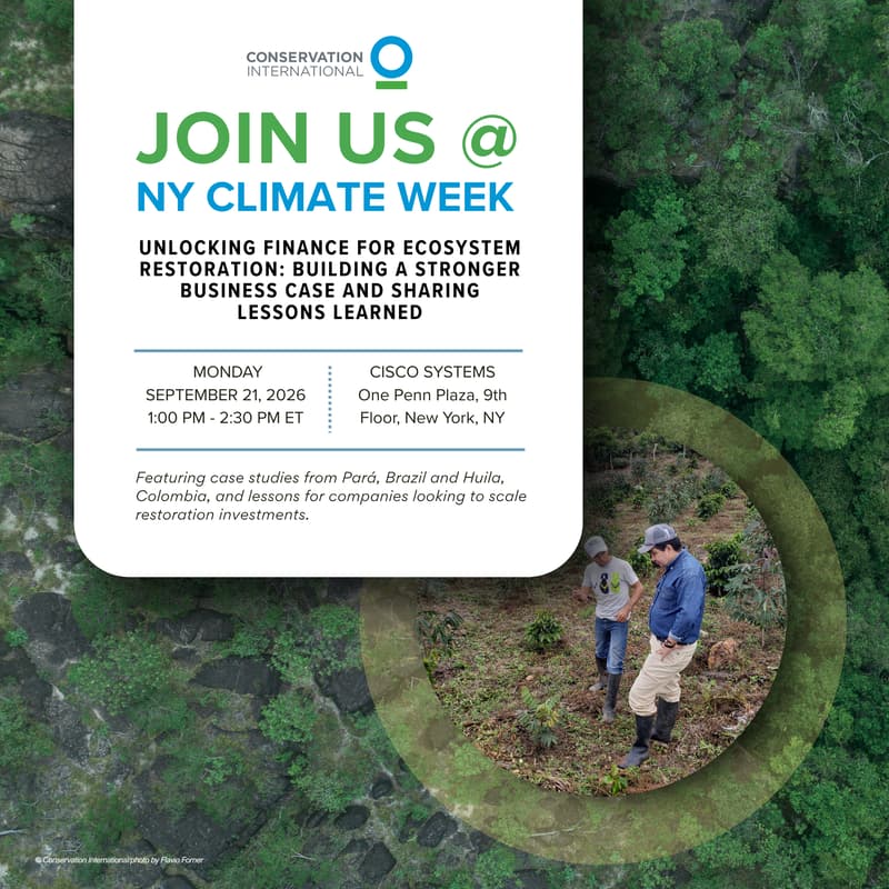 Cover Image for Ecosystem Restoration