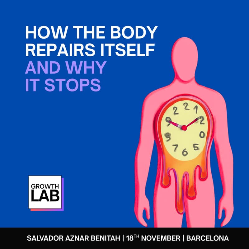 Cover Image for How the Body Repairs Itself, and Why It Stops
