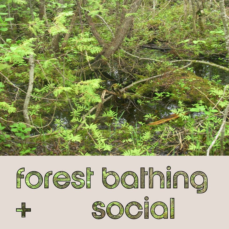 Cover Image for Forest Bathing + Social
