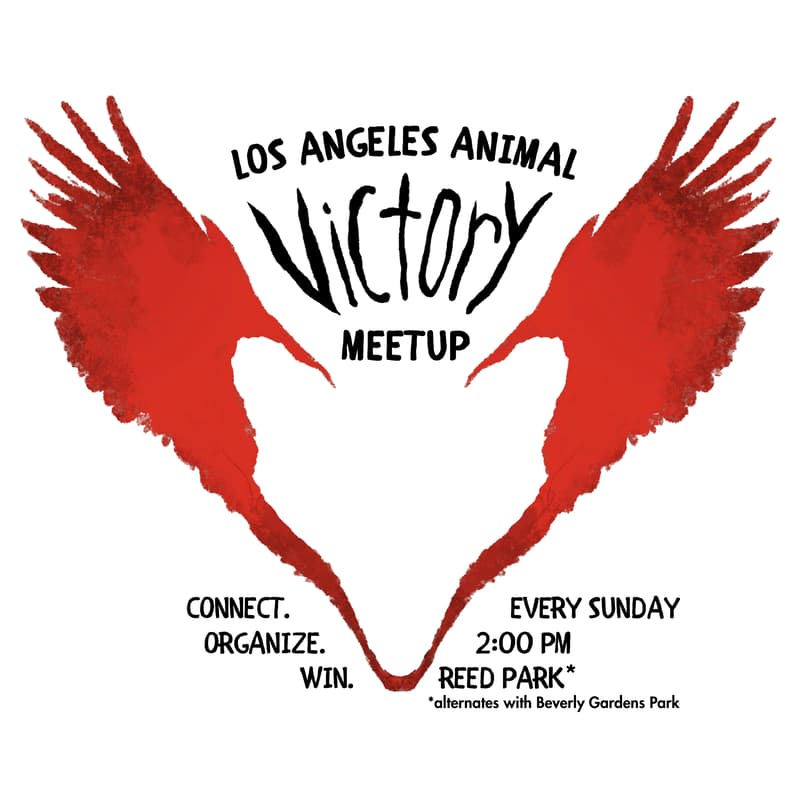 Cover Image for End Cages - LA Animal Victory Meetup