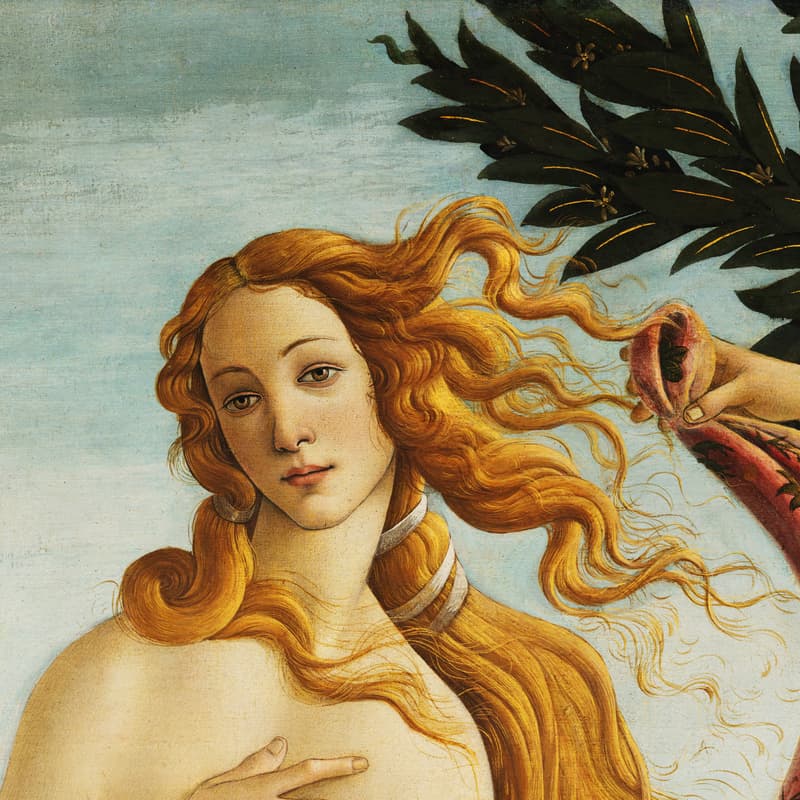 Cover Image for Neuroaesthetics in Europe Masterclass: Understand the Brain and Art