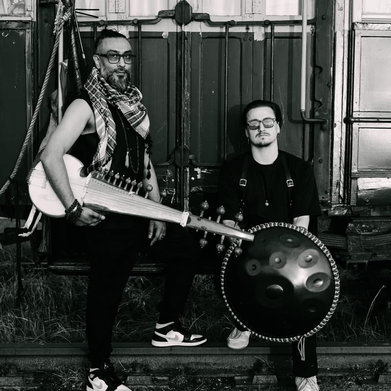 Cover Image for Live at Wanakam: Handpan x Sarod E03
