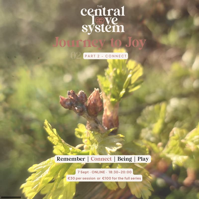 Cover Image for Journey to Joy - Part 2 - Connect