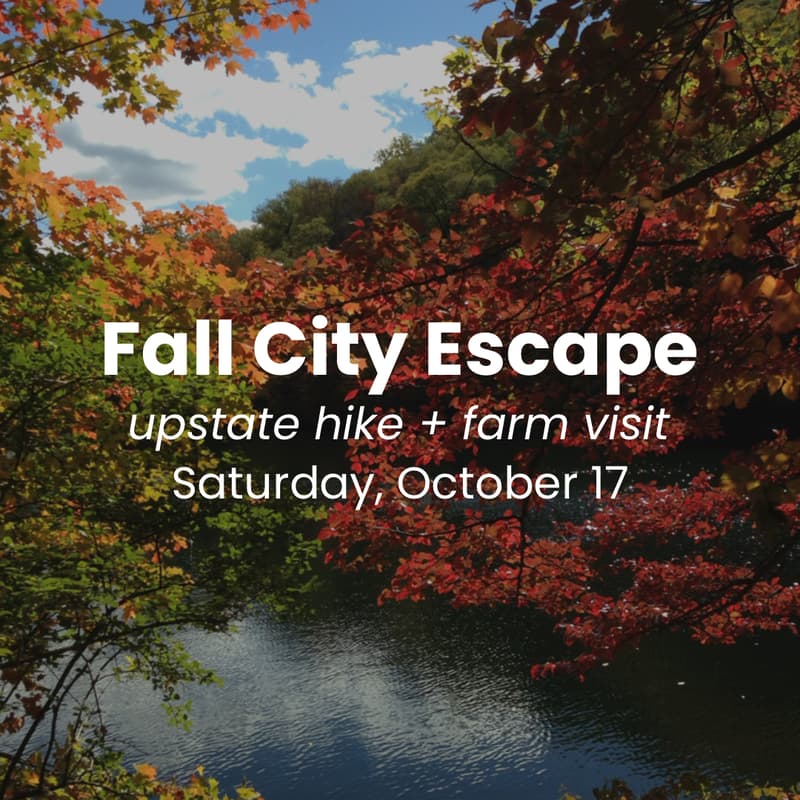 Cover Image for Fall City Escape - upstate hike + farm visit
