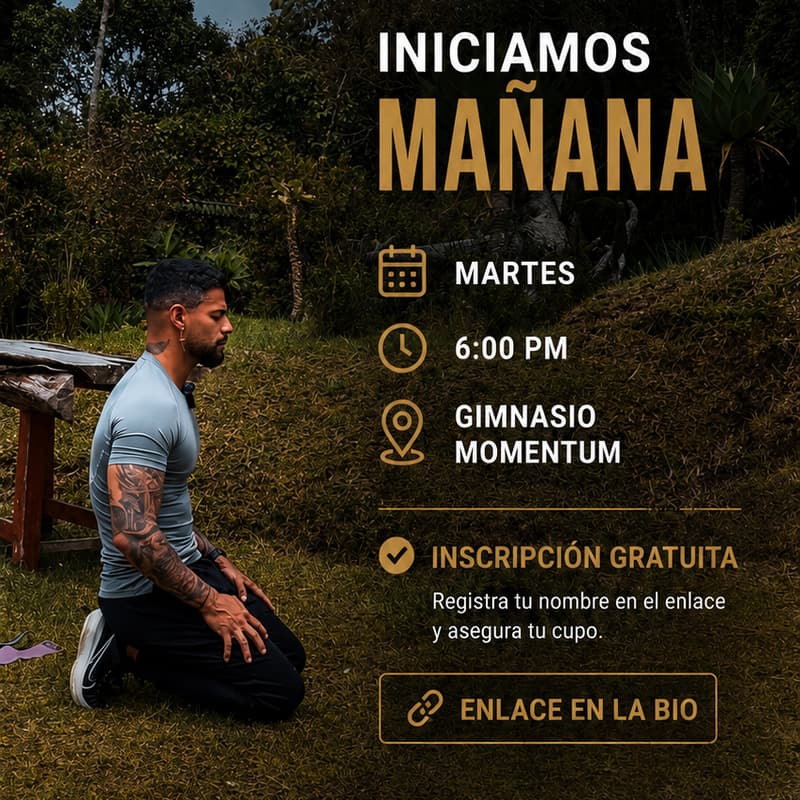 Cover Image for Alquimia del Movimiento