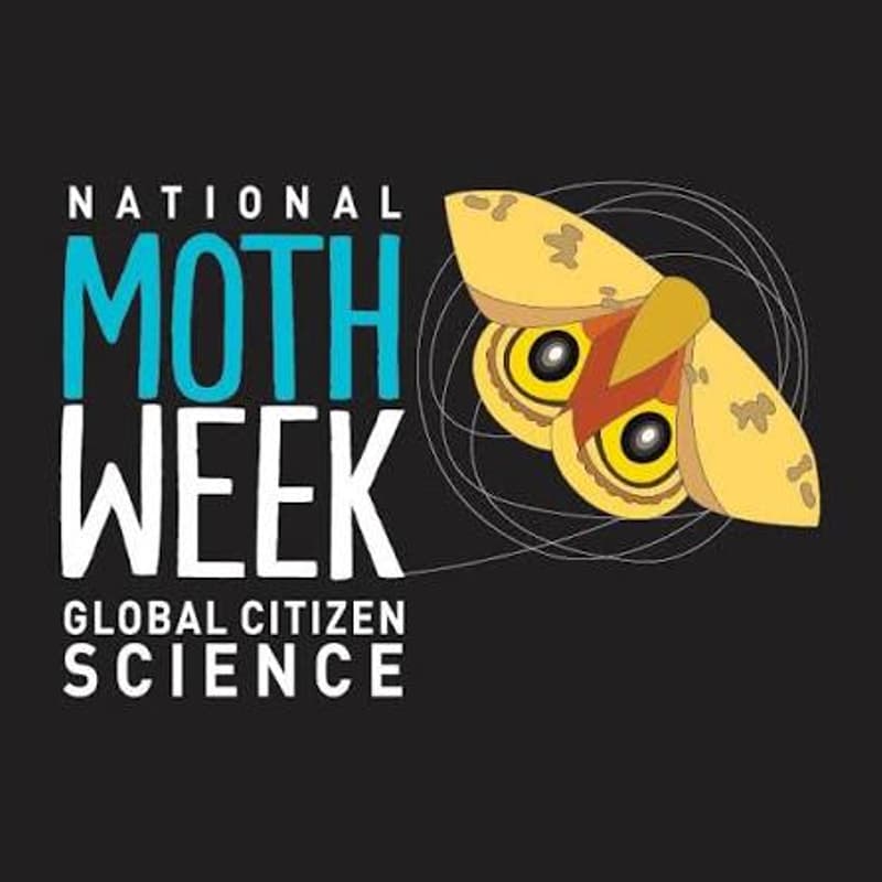 Cover Image for Wednesday Night Naturalism: Moths on Gabbro