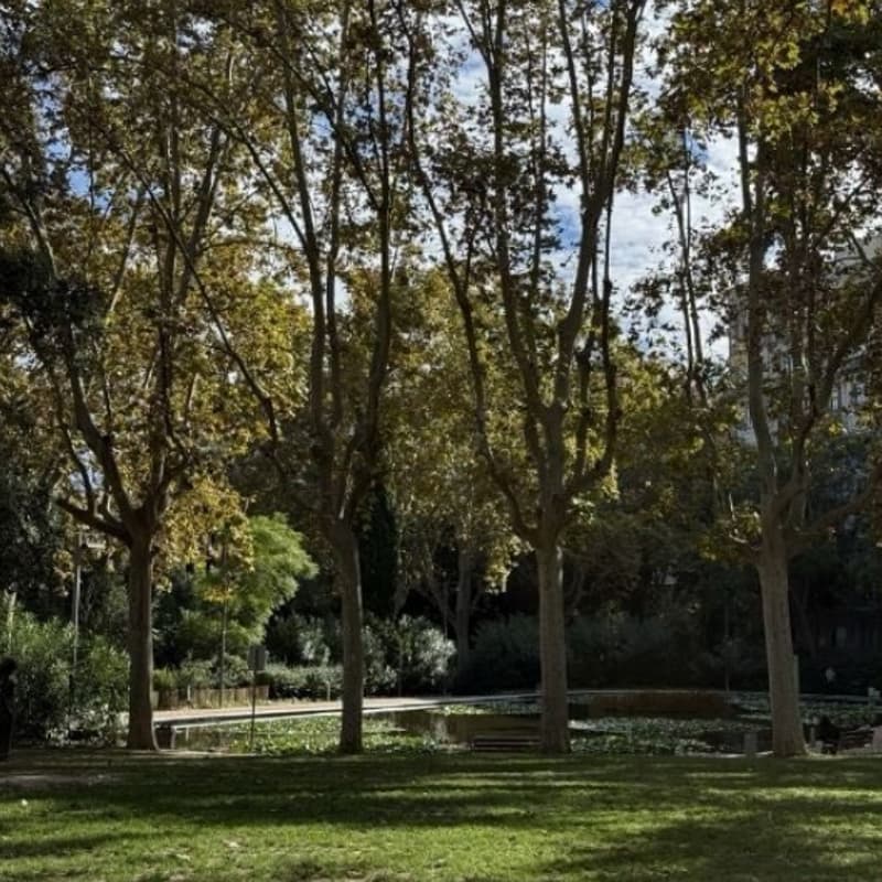 Cover Image for Yoga al Aire Libre • Parque Turó 🍃