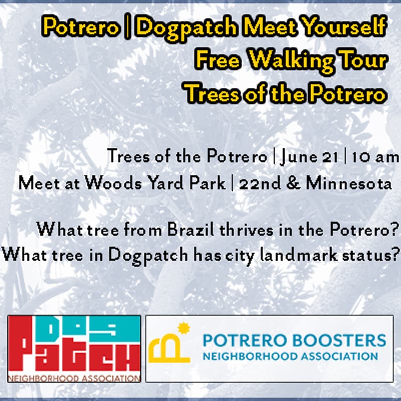 Cover Image for Potrero Dogpatch Meet Yourself | Potrero Tree Tour