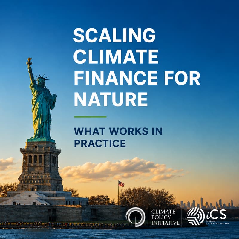 Cover Image for Scaling Climate Finance for Nature: What Works in Practice