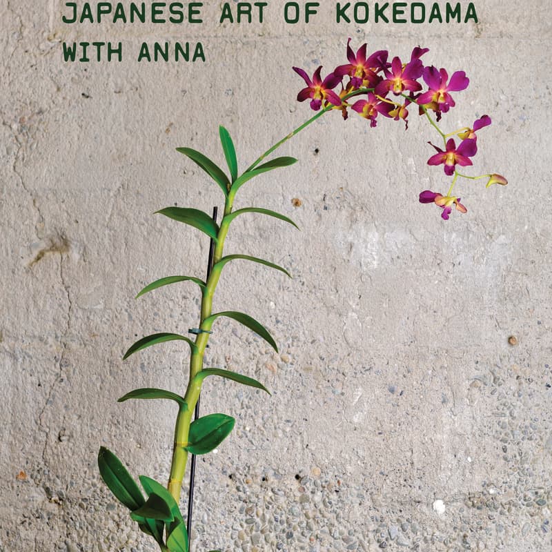 Cover Image for Japanese Art of Kokedama Making - Workshop