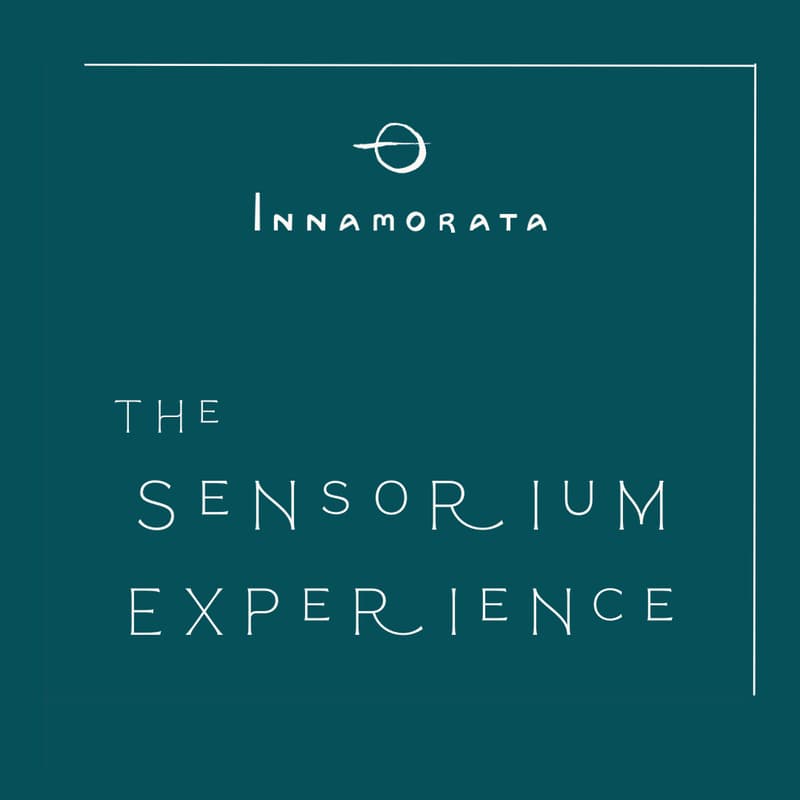 Cover Image for The Sensorium Experience