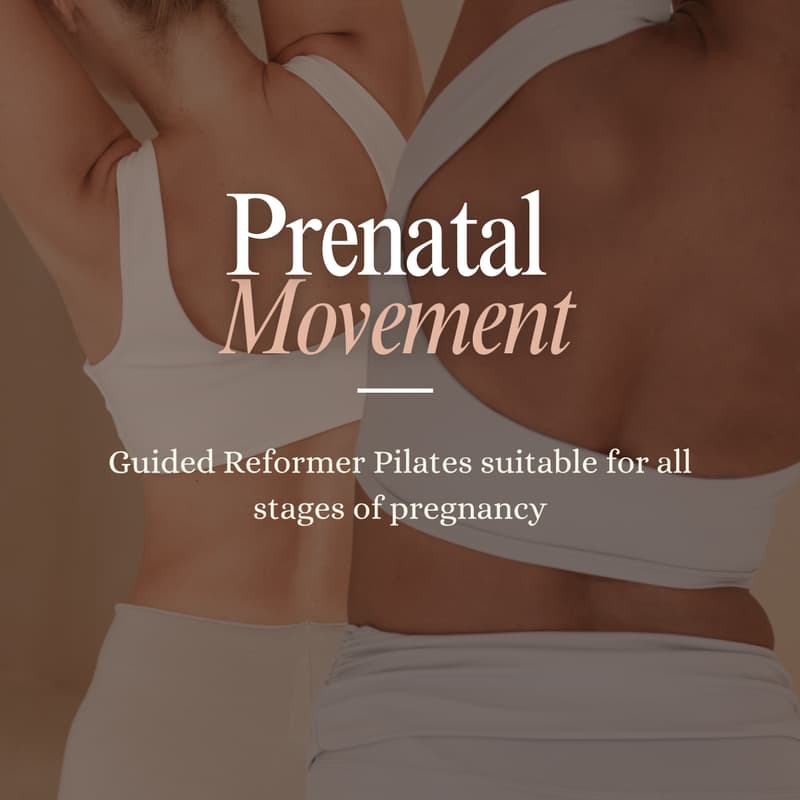 Cover Image for Prenatal Movement Session