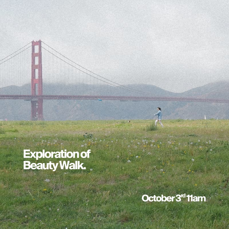 Cover Image for Exploration of Beauty. Color Walk.