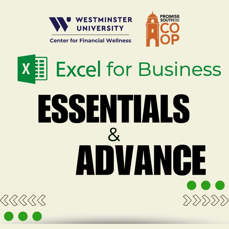 Cover Image for Excel for Business: Essentials and Advance with AI