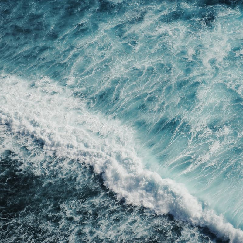 Cover Image for Ocean-Climate Action in a Changing World