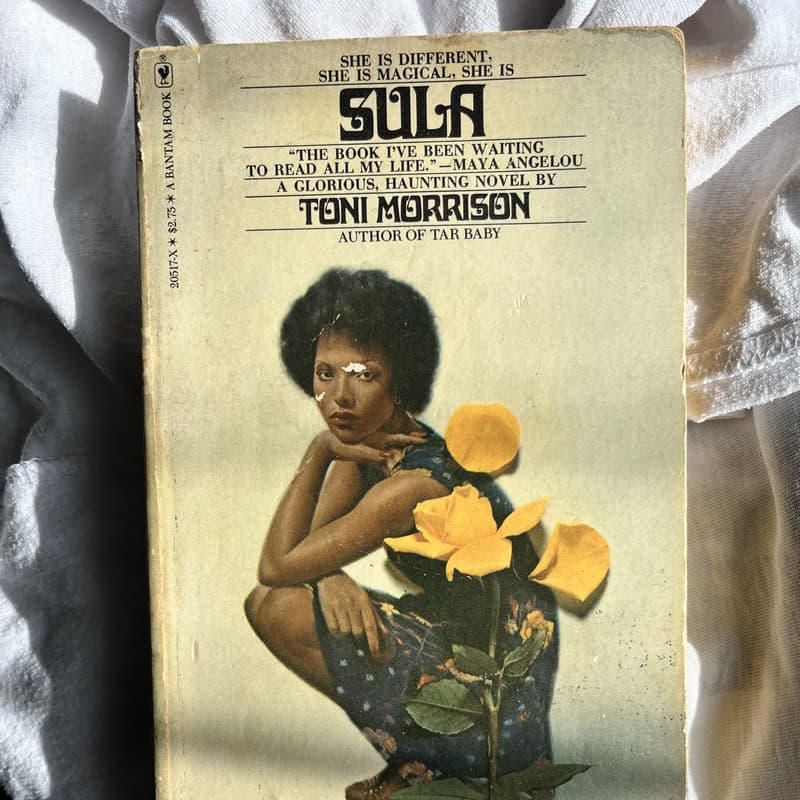 Cover Image for Sula - A Premiere Discussion