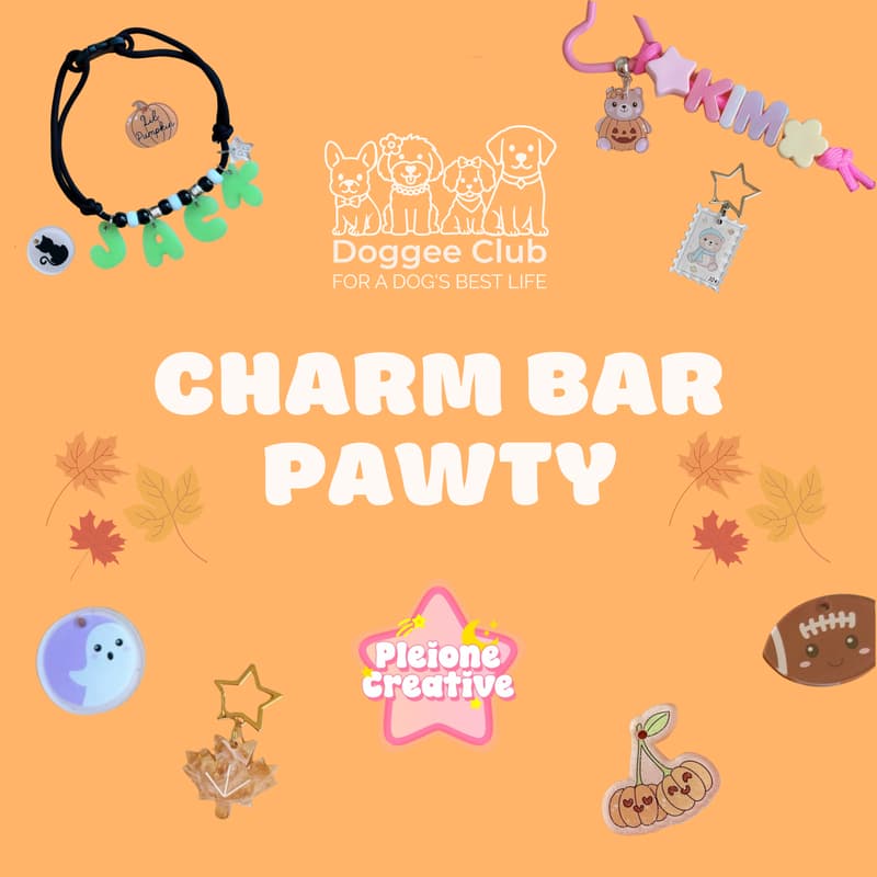 Cover Image for Halloween Charm Bar Pawty