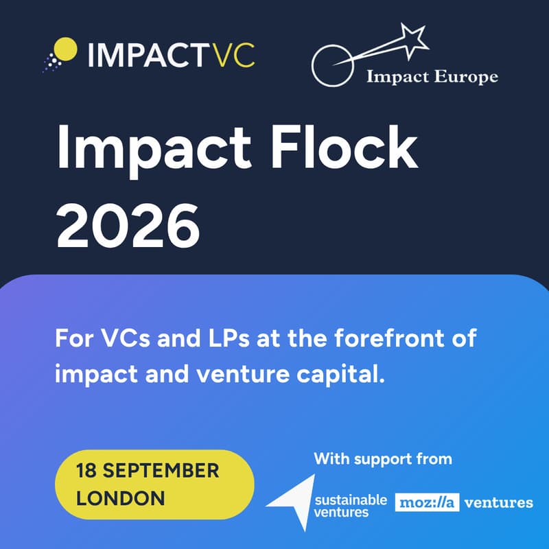 Cover Image for Impact Flock