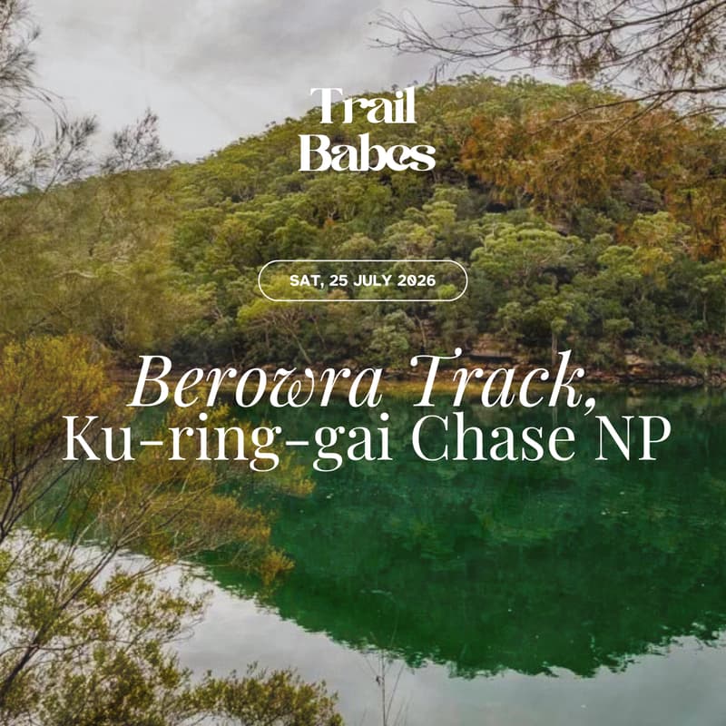 Cover Image for Berowra Track, Ku-ring-gai Chase NP