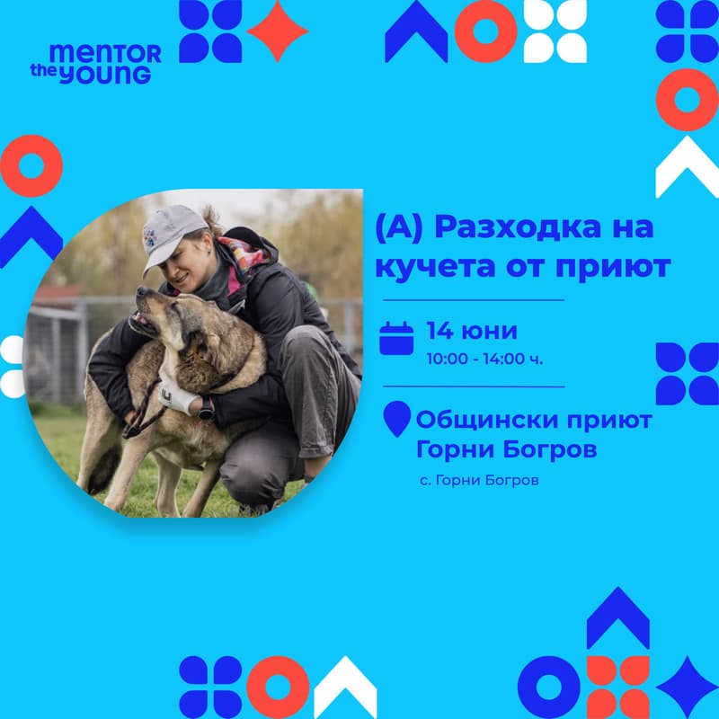 Cover Image for (A) Разходка на кучета от приют [Mentor the Young]