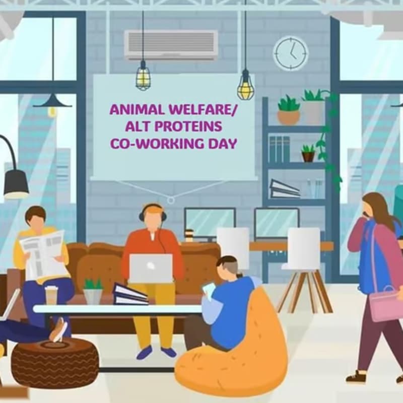 Cover Image for Animal Welfare/Alt Protein Co-working Day