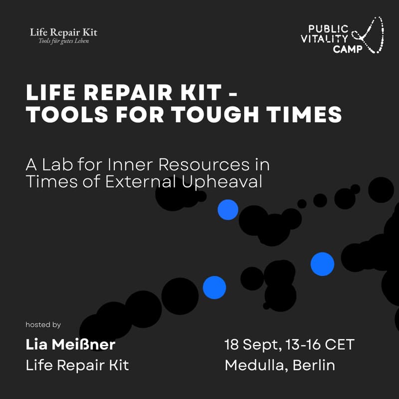 Cover Image for Life Repair Kit: Tools for Tough Times
