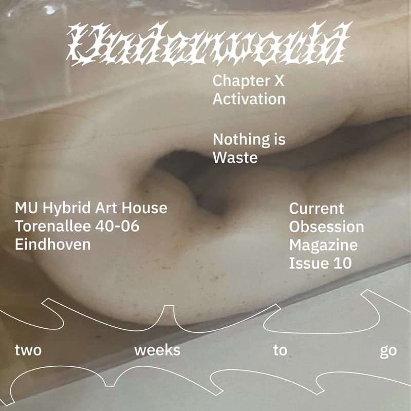 Cover Image for Nothing Is Waste
