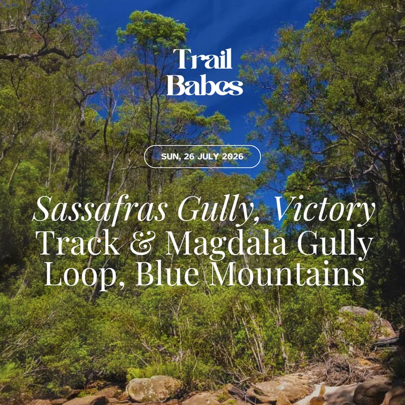 Cover Image for Sassafras Gully, Victory Track, and Magdala Gully Loop, Blue Mountains