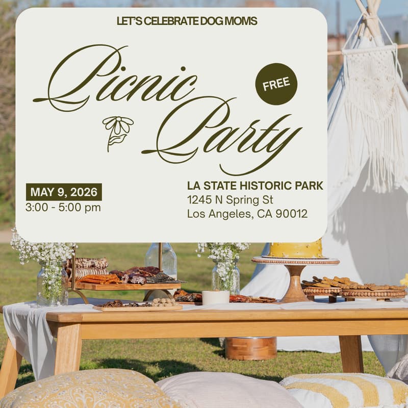 Cover Image for Dog Mom Day Picnic Party