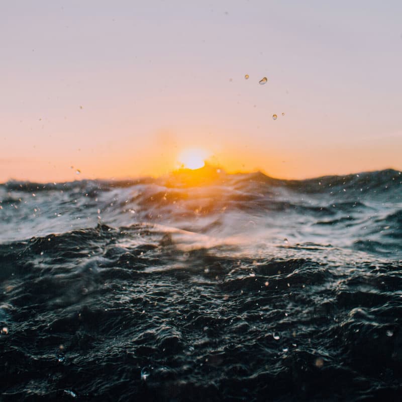 Cover Image for Ocean Impact Storytelling | Coffee & Conversation