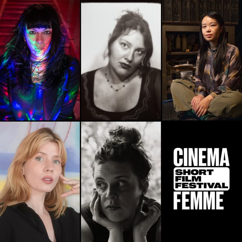 Cover Image for Cinema Femme Film Festival Preview Celebration