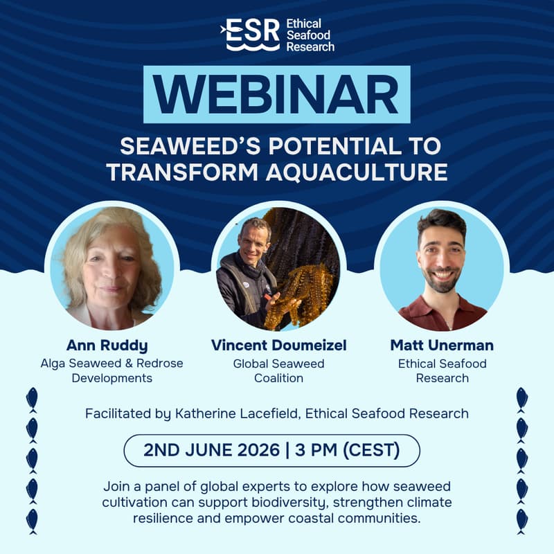 Cover Image for Seaweed’s potential to transform aquaculture