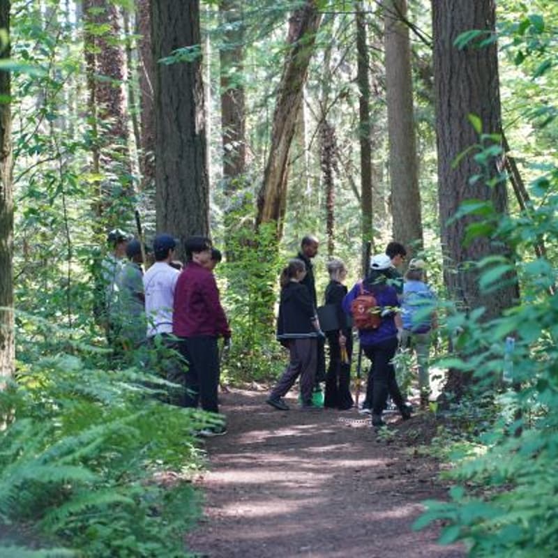 Cover Image for Plant ID Walk