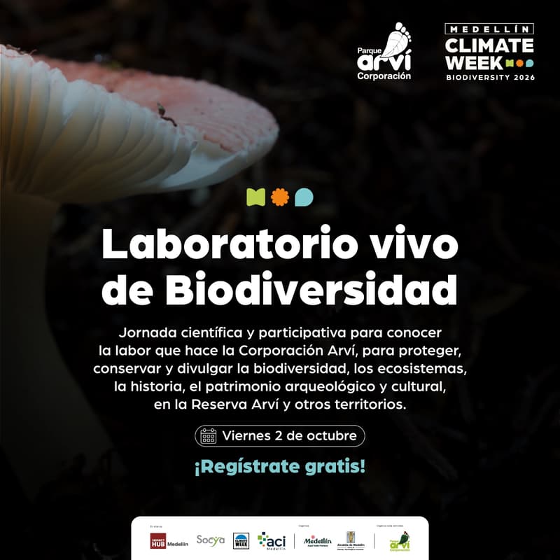 Cover Image for Laboratorio Vivo de Biodiversidad