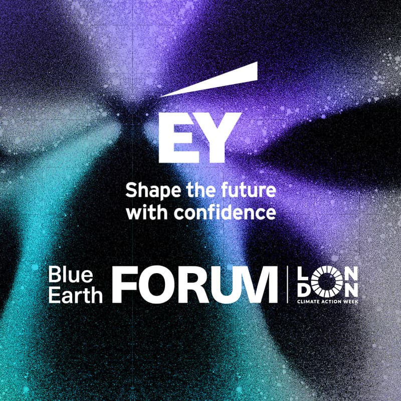 Cover Image for EY Ecosystem Exchange – Turning AI and Sustainability Innovation into Impact