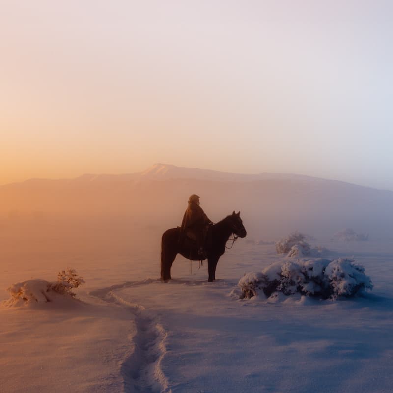 Cover Image for COIRÓN by Pie Aerts | Solo Exhibition