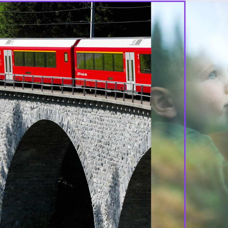 Cover Image for Vous faire aimer le train !