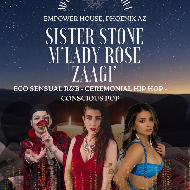 Cover Image for Medicine Women of Soul