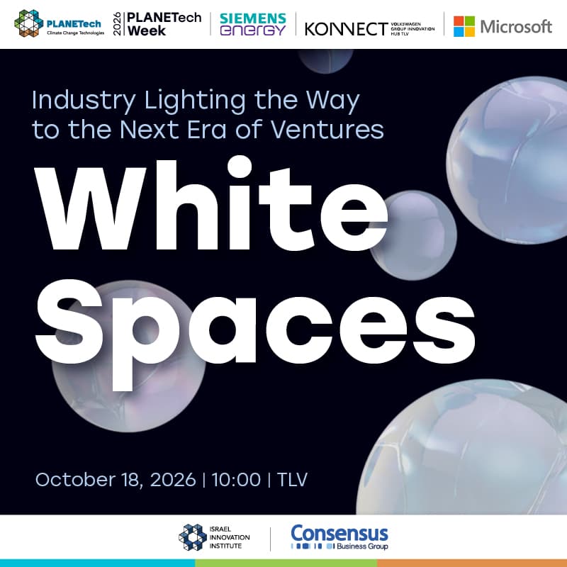 Cover Image for White Spaces