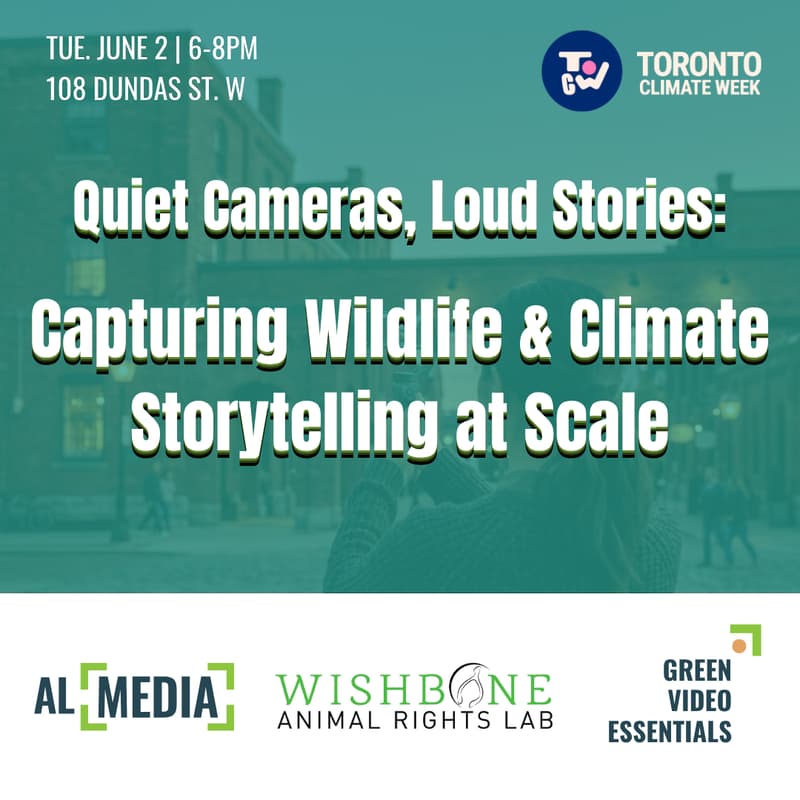 Cover Image for Capturing Wildlife & Climate Storytelling at Scale with AI